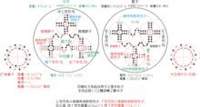 九游娱乐app下载：电子(根基粒子之一)_360百科(图2)